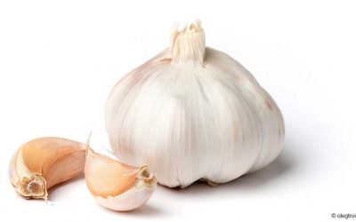 Can Garlic Detoxify the Liver?